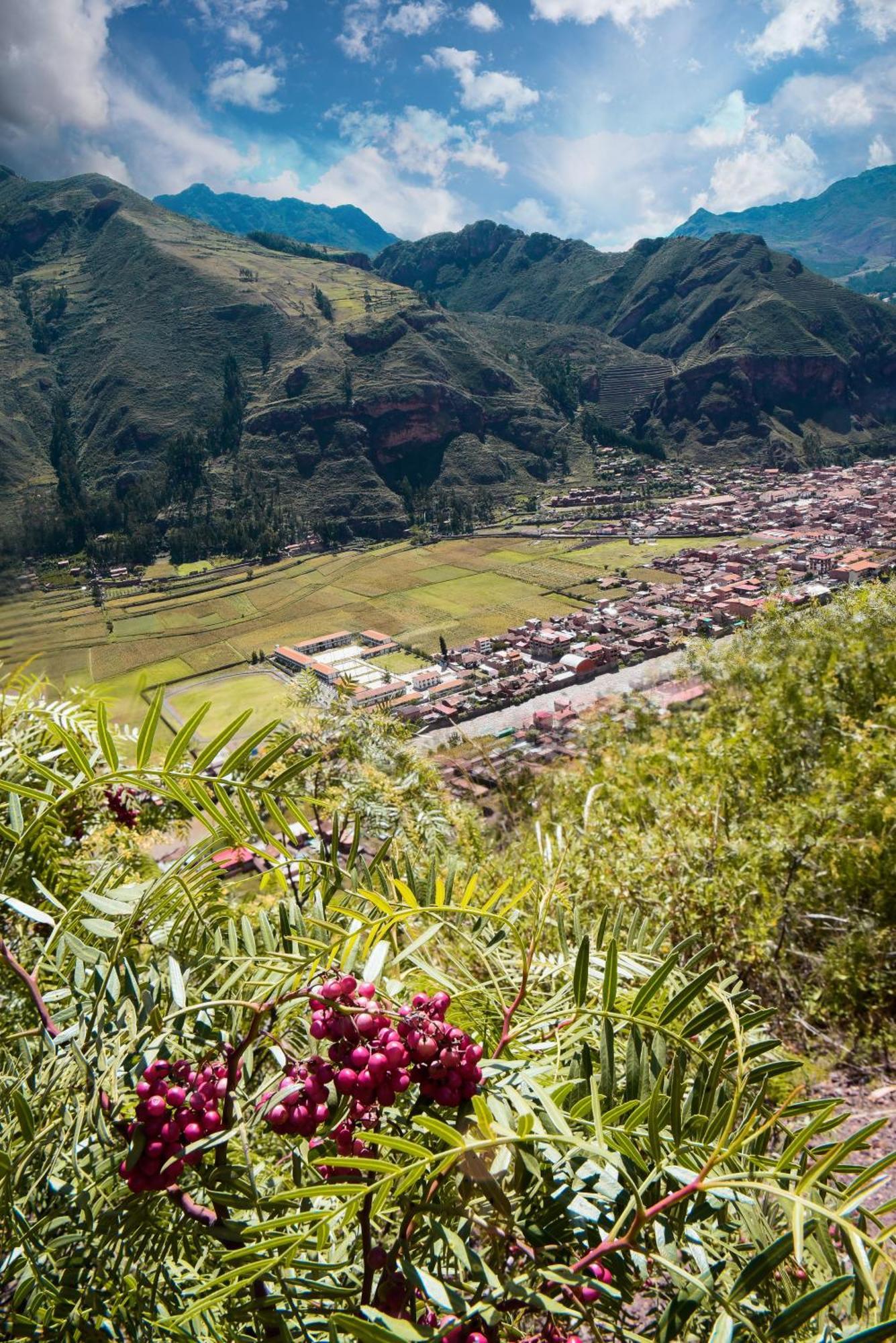 Rumi Lodge Pisac Ngoại thất bức ảnh