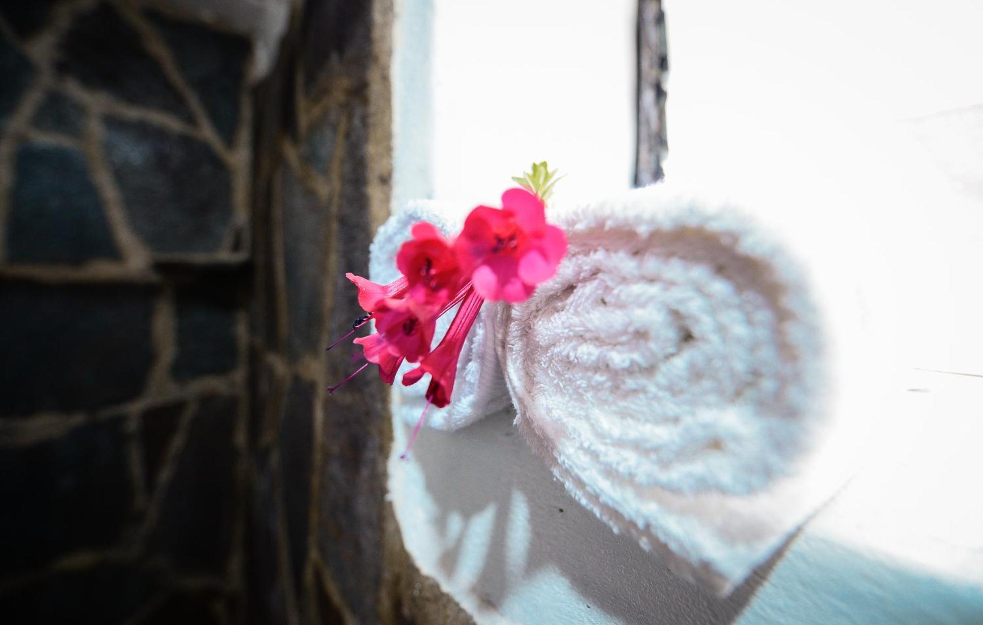 Rumi Lodge Pisac Ngoại thất bức ảnh